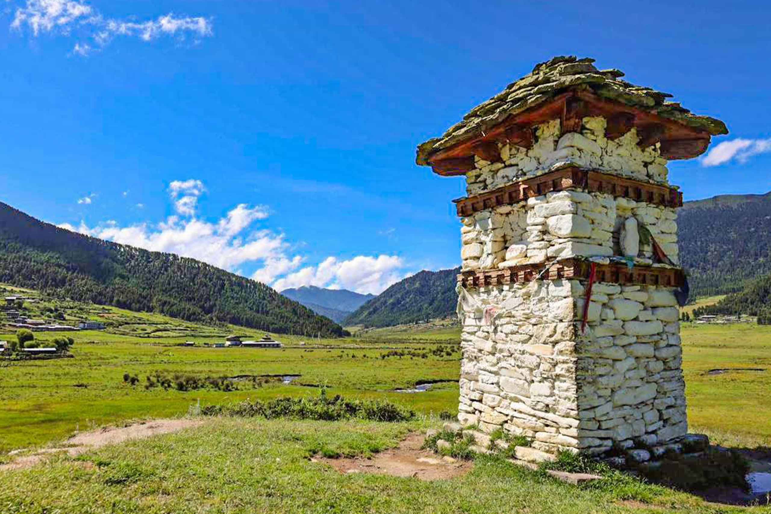 Black Necked Crane Festival