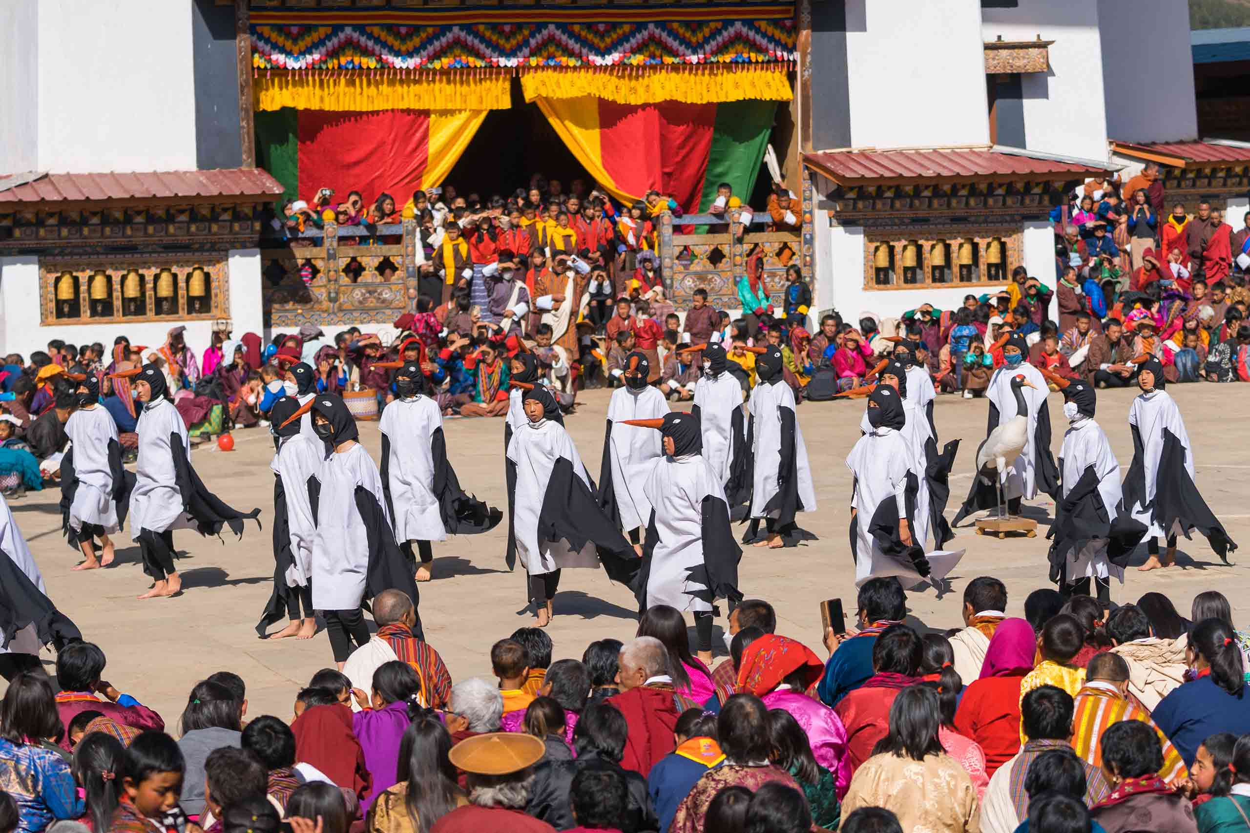 Black Necked Crane Festival