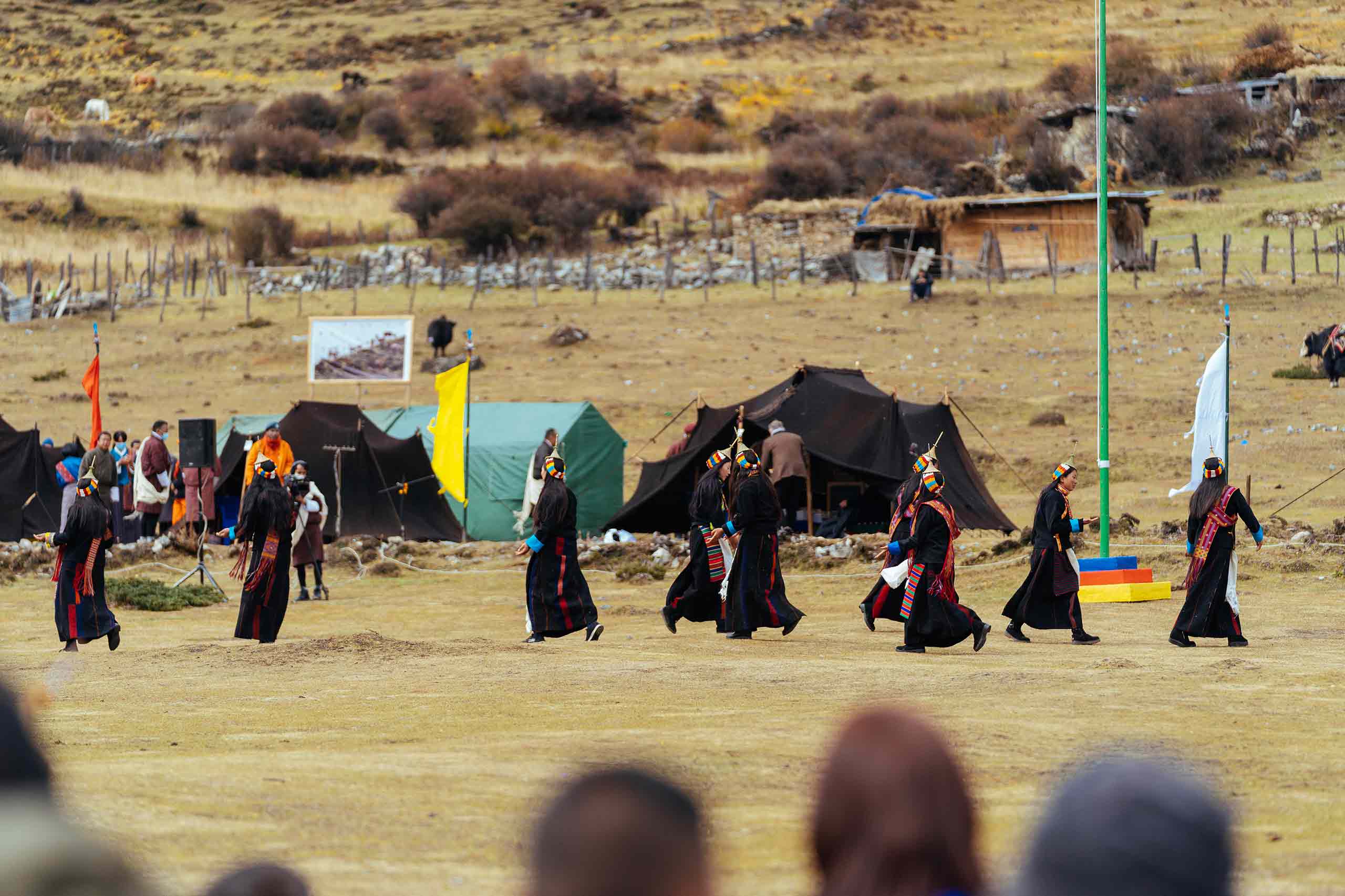 Laya Festival