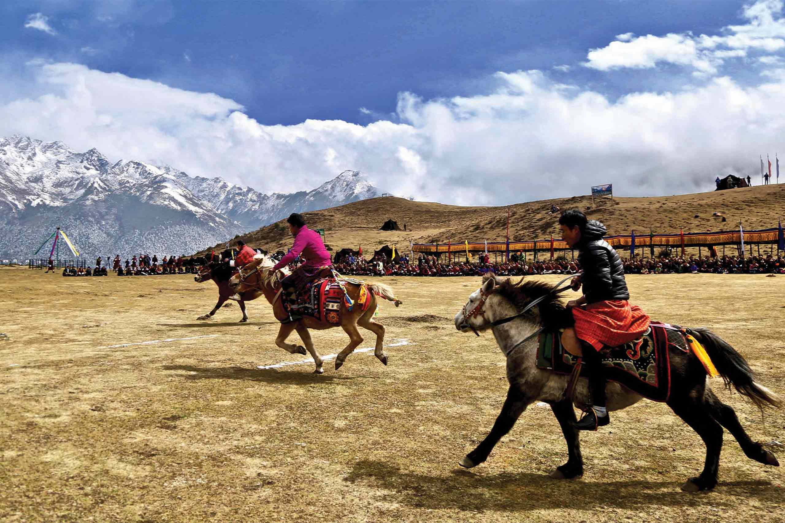 Laya Festival